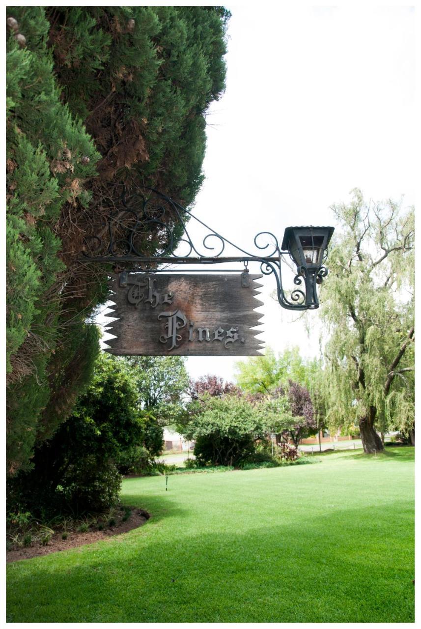 Shady Pines Guest House Гаррисмит Экстерьер фото